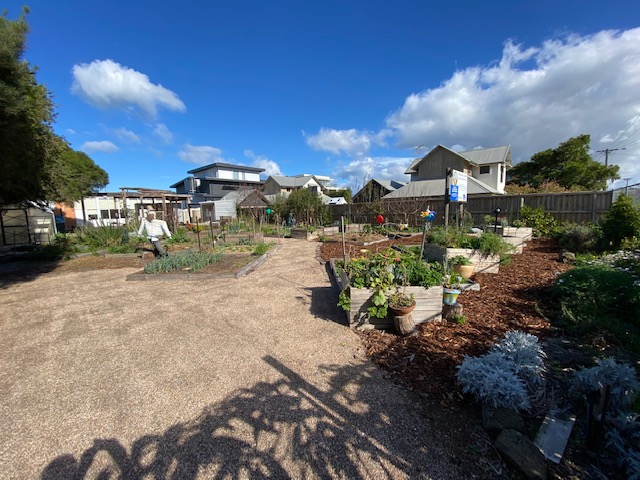 The Garden viewed from The Parade entrance. A large clear area with garden plots on the right with freshly mulched paths between them