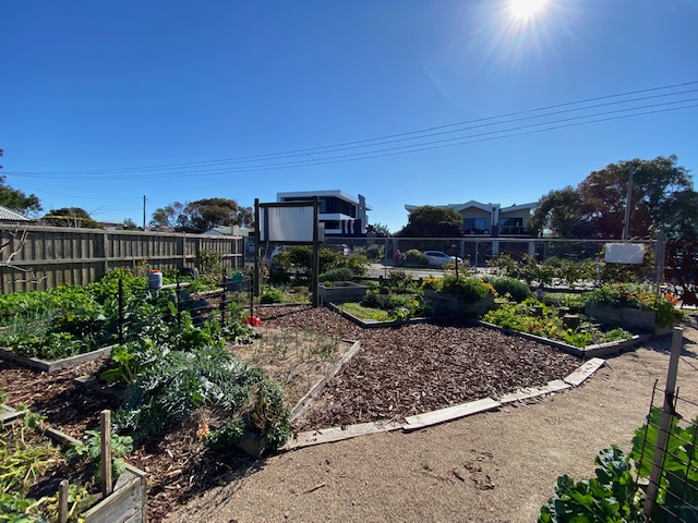 A gravel path surrounded by garden beds looking towards the back of the back of the Community Garden  on The Parade
